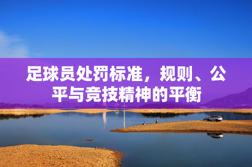 足球员处罚标准，规则、公平与竞技精神的平衡