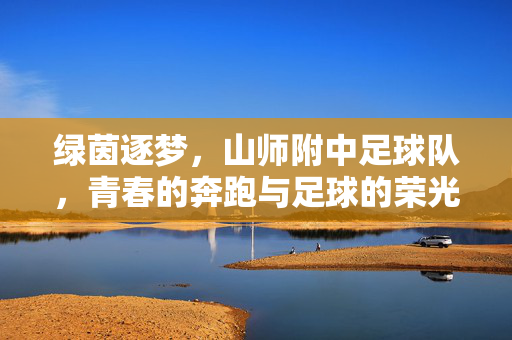 绿茵逐梦，山师附中足球队，青春的奔跑与足球的荣光