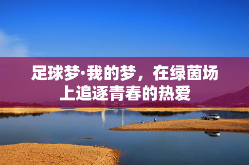 足球梦·我的梦，在绿茵场上追逐青春的热爱
