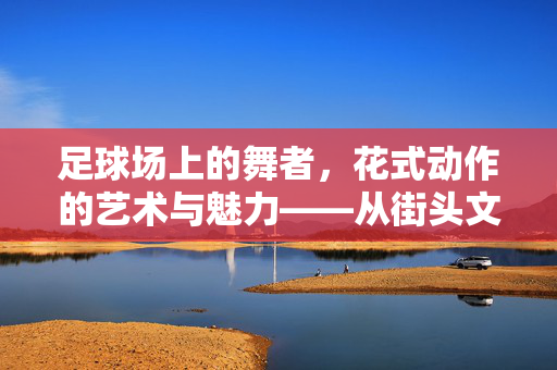 足球场上的舞者,花式动作的艺术与魅力——从街头文化到职业赛场的技术盛宴