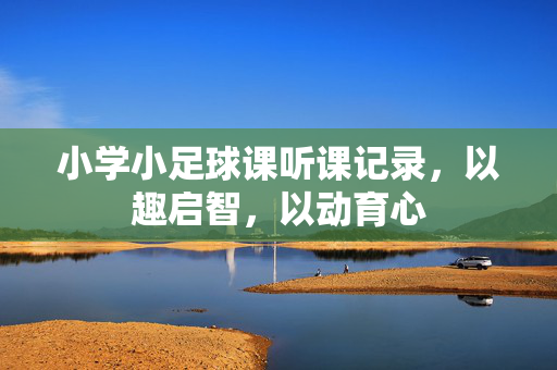 小学小足球课听课记录，以趣启智，以动育心