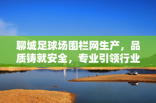 聊城足球场围栏网生产，品质铸就安全，专业引领行业新标准，聊城足球场围栏网生产，品质铸就安全，专业引领行业新标准