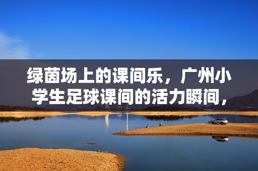 绿茵场上的课间乐，广州小学生足球课间的活力瞬间，绿茵场上的课间乐，广州小学生足球课间的活力瞬间