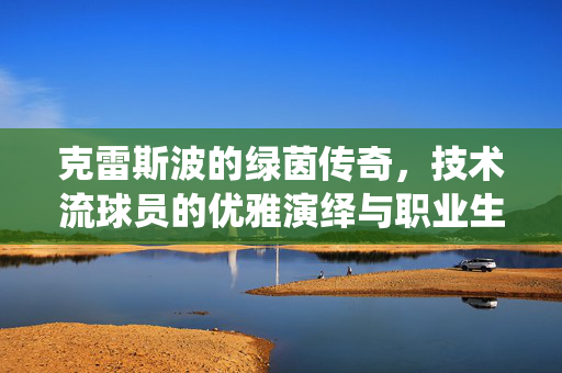 克雷斯波的绿茵传奇，技术流球员的优雅演绎与职业生涯辉煌