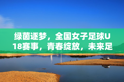 绿茵逐梦，全国女子足球U18赛事，青春绽放，未来足球的希望之光，绿茵逐梦，青春绽放，全国女子足球U18赛事，未来足球的希望之光