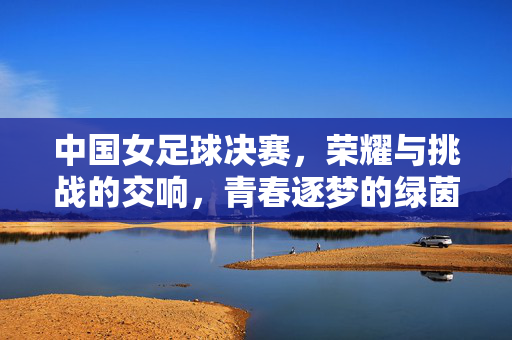 中国女足球决赛，荣耀与挑战的交响，青春逐梦的绿茵华章