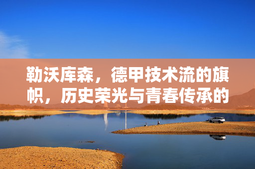 勒沃库森，德甲技术流的旗帜，历史荣光与青春传承的交织，勒沃库森，德甲技术流的旗帜，历史荣光与青春传承的交织