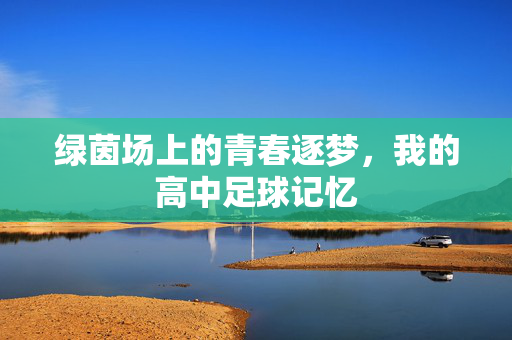 绿茵场上的青春逐梦,我的高中足球记忆
