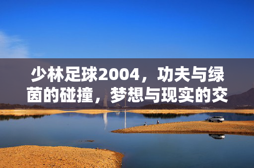 少林足球2004，功夫与绿茵的碰撞，梦想与现实的交响