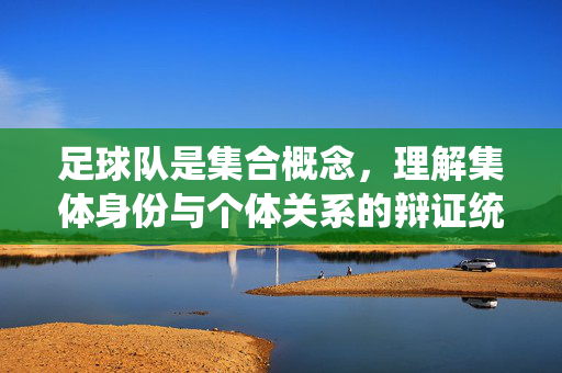足球队是集合概念，理解集体身份与个体关系的辩证统一，足球队是集合概念，集体身份与个体关系的辩证统一