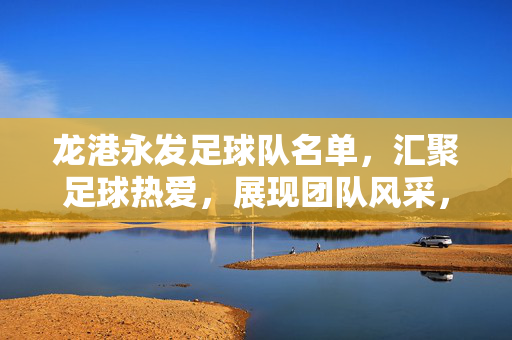龙港永发足球队名单，汇聚足球热爱，展现团队风采，龙港永发足球队名单，汇聚足球热爱，展现团队风采