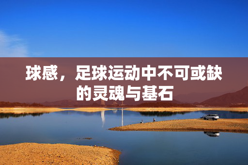 球感，足球运动中不可或缺的灵魂与基石