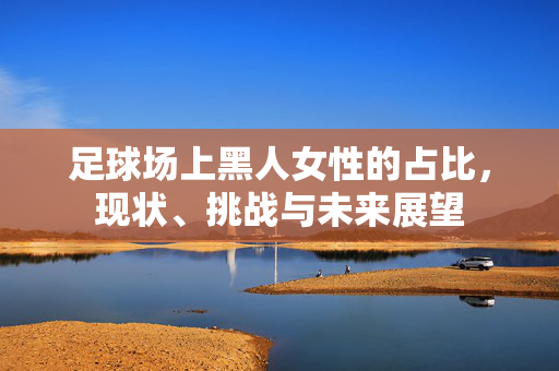 足球场上黑人女性的占比,现状、挑战与未来展望