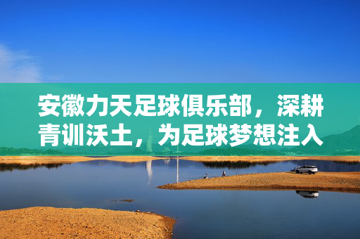 安徽力天足球俱乐部,深耕青训沃土,为足球梦想注入动力,安徽力天足球俱乐部深耕青训沃土,为足球梦想注入动力