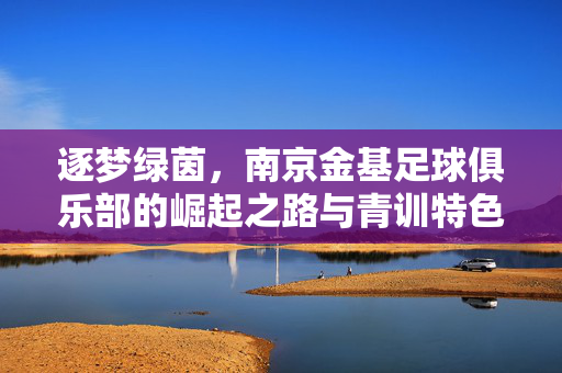 逐梦绿茵，南京金基足球俱乐部的崛起之路与青训特色，逐梦绿茵，南京金基足球俱乐部的崛起之路与青训特色