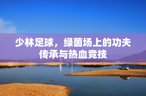 少林足球,绿茵场上的功夫传承与热血竞技