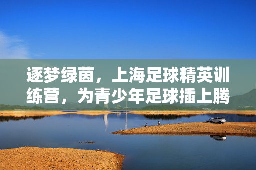 逐梦绿茵,上海足球精英训练营,为青少年足球插上腾飞的翅膀,逐梦绿茵,上海足球精英训练营,为青少年足球插上腾飞的翅膀