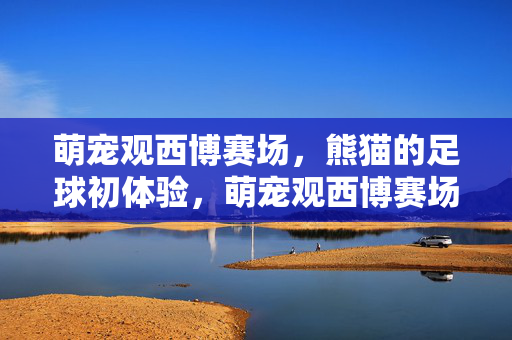 萌宠观西博赛场，熊猫的足球初体验，萌宠观西博赛场，熊猫的足球初体验