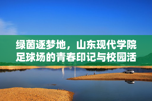 绿茵逐梦地,山东现代学院足球场的青春印记与校园活力,绿茵逐梦地,山东现代学院足球场的青春印记与校园活力