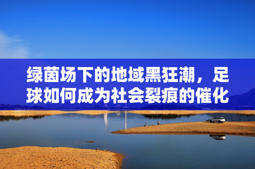 绿茵场下的地域黑狂潮，足球如何成为社会裂痕的催化剂，绿茵场下的地域黑狂潮，足球如何成为社会裂痕的催化剂