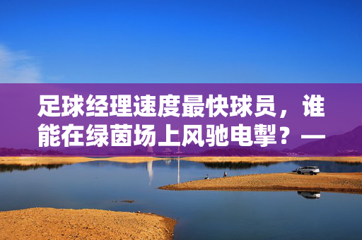 足球经理速度最快球员，谁能在绿茵场上风驰电掣？——解码速度与激情的巅峰对决，足球经理速度最快球员，谁能在绿茵场上风驰电掣？——解码速度与激情的巅峰对决