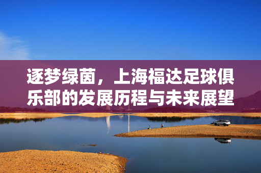 逐梦绿茵，上海福达足球俱乐部的发展历程与未来展望，逐梦绿茵，上海福达足球俱乐部的发展历程与未来展望