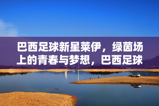 巴西足球新星莱伊，绿茵场上的青春与梦想，巴西足球新星莱伊，绿茵场上的青春与梦想