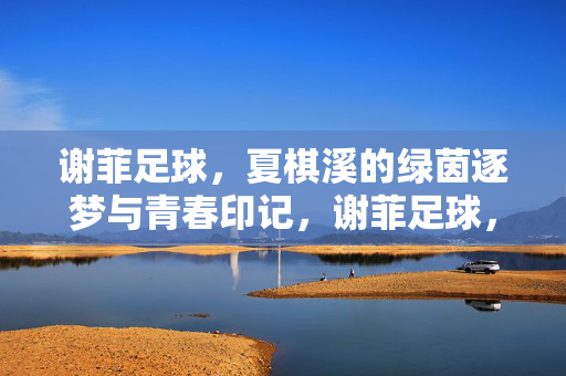 谢菲足球，夏棋溪的绿茵逐梦与青春印记，谢菲足球，夏棋溪的绿茵逐梦与青春印记