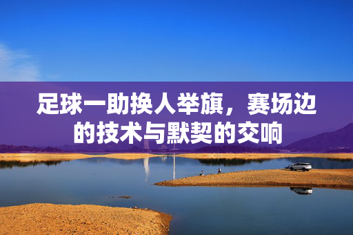 足球一助换人举旗，赛场边的技术与默契的交响