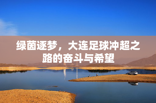 绿茵逐梦，大连足球冲超之路的奋斗与希望
