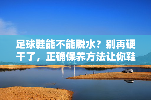 足球鞋能不能脱水？别再硬干了，正确保养方法让你鞋鞋如新！足球鞋能不能脱水？正确保养方法让你鞋鞋如新，别再硬干了！