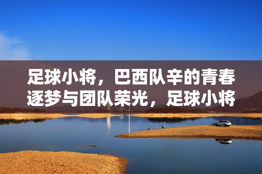 足球小将，巴西队辛的青春逐梦与团队荣光，足球小将，巴西队辛的青春逐梦与团队荣光