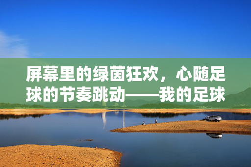 屏幕里的绿茵狂欢，心随足球的节奏跳动——我的足球播放与踢球记忆，屏幕里的绿茵狂欢，心随足球的节奏跳动——我的足球播放与踢球记忆