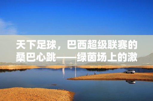 天下足球，巴西超级联赛的桑巴心跳——绿茵场上的激情传承与足球灵魂，天下足球，巴西超级联赛的桑巴心跳——绿茵场上的激情传承与足球灵魂