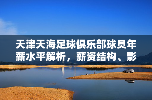 天津天海足球俱乐部球员年薪水平解析,薪资结构、影响因素及市场现状,天津天海足球俱乐部球员年薪水平解析,薪资结构、影响因素及市场现状