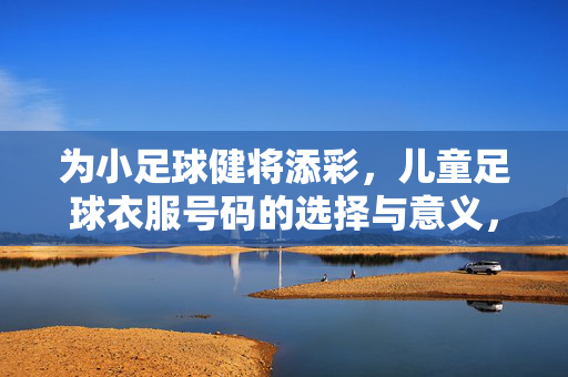 为小足球健将添彩,儿童足球衣服号码的选择与意义,为小足球健将添彩,儿童足球衣服号码的选择与意义