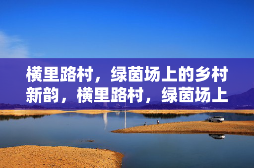 横里路村，绿茵场上的乡村新韵，横里路村，绿茵场上的乡村新韵