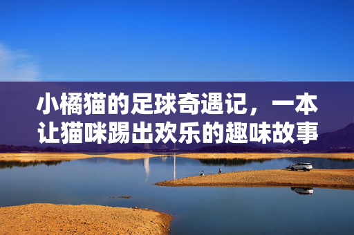 小橘猫的足球奇遇记，一本让猫咪踢出欢乐的趣味故事绘本，小橘猫的足球奇遇记，一本让猫咪踢出欢乐的趣味故事绘本