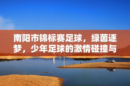 南阳市锦标赛足球，绿茵逐梦，少年足球的激情碰撞与成长足迹，南阳市足球锦标赛，绿茵逐梦，少年足球的激情碰撞与成长足迹