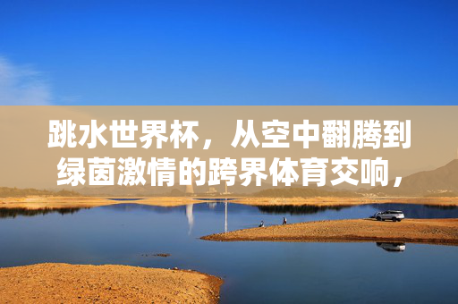 跳水世界杯，从空中翻腾到绿茵激情的跨界体育交响，跳水世界杯，从空中翻腾到绿茵激情的跨界体育交响