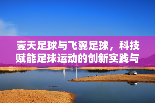 壹天足球与飞翼足球，科技赋能足球运动的创新实践与未来展望