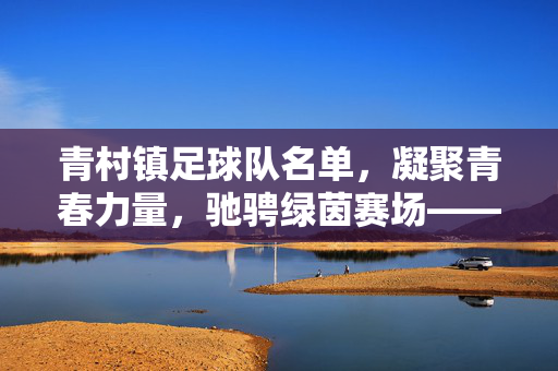 青村镇足球队名单，凝聚青春力量，驰骋绿茵赛场——记青村镇足球队成员风采与团队精神