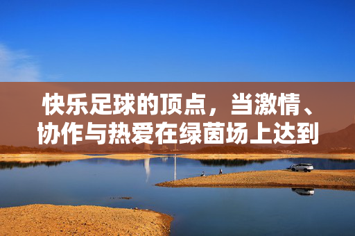 快乐足球的顶点，当激情、协作与热爱在绿茵场上达到极致，快乐足球的顶点，当激情、协作与热爱在绿茵场上达到极致