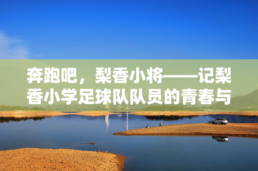 奔跑吧，梨香小将——记梨香小学足球队队员的青春与梦想，奔跑吧，梨香小将——记梨香小学足球队队员的青春与梦想