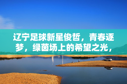 辽宁足球新星俊哲，青春逐梦，绿茵场上的希望之光，辽宁足球新星俊哲，青春逐梦，绿茵场上的希望之光