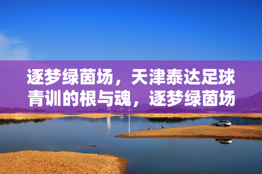 逐梦绿茵场，天津泰达足球青训的根与魂，逐梦绿茵场，天津泰达足球青训的根与魂