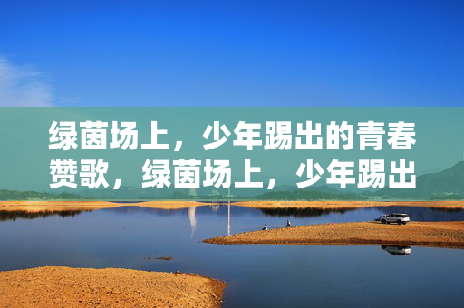 绿茵场上，少年踢出的青春赞歌，绿茵场上，少年踢出的青春赞歌