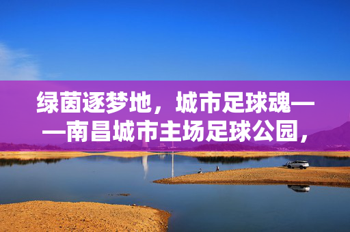 绿茵逐梦地，城市足球魂——南昌城市主场足球公园，南昌足球的全新主场，市民运动的活力舞台，绿茵逐梦地，城市足球魂——南昌城市主场足球公园，南昌足球的全新主场，市民运动的活力舞台
