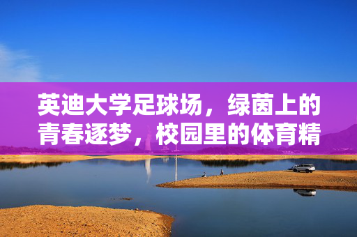 英迪大学足球场，绿茵上的青春逐梦，校园里的体育精神，英迪大学足球场，绿茵上的青春逐梦，校园里的体育精神