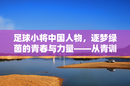 足球小将中国人物，逐梦绿茵的青春与力量——从青训基石到世界舞台的足球传承，足球小将中国人物，逐梦绿茵的青春与力量——从青训基石到世界舞台的足球传承